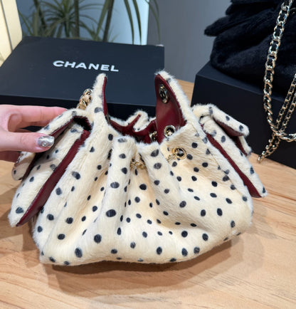 Polka Dot 25 Mini Bag