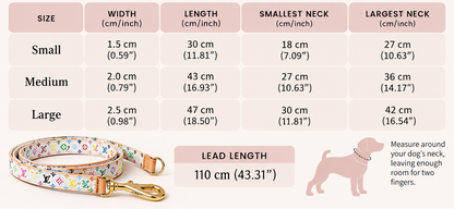 Luxury Pet Collar Leash Set - Multicolored